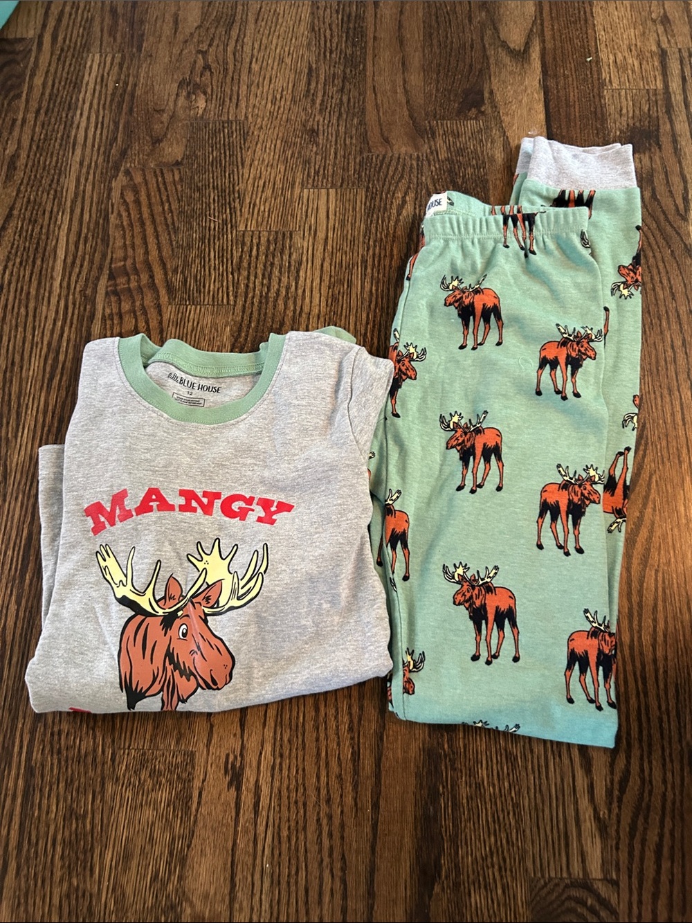 Kids Moose Graphic Pajama Set - Gray Top & Green Pants